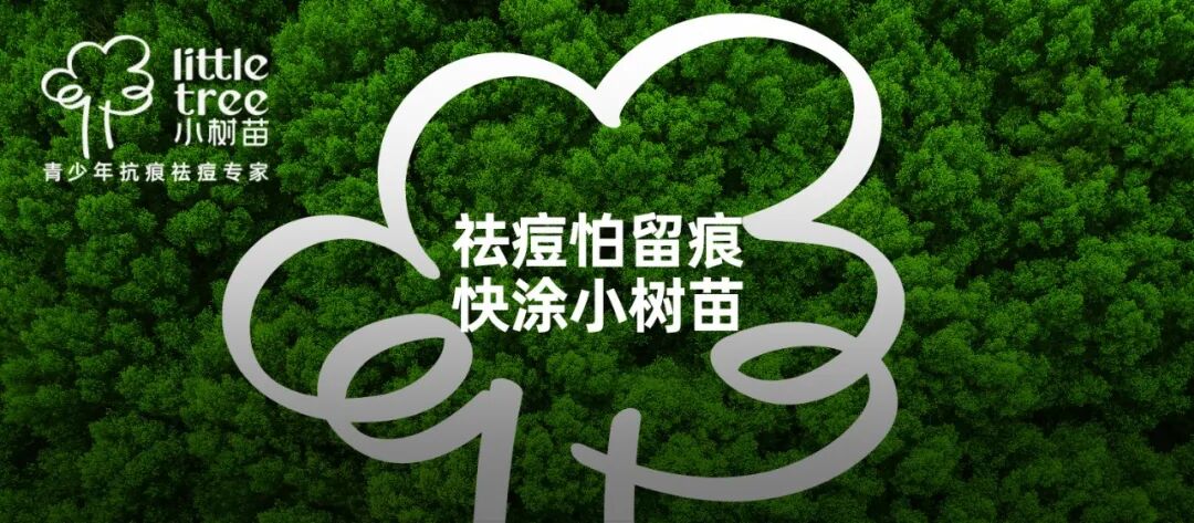 小树苗